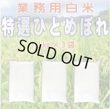 令和5年産・業務用会津ひとめぼれ 10kg×3　●送料無料(北海道・九州・沖縄を除く)