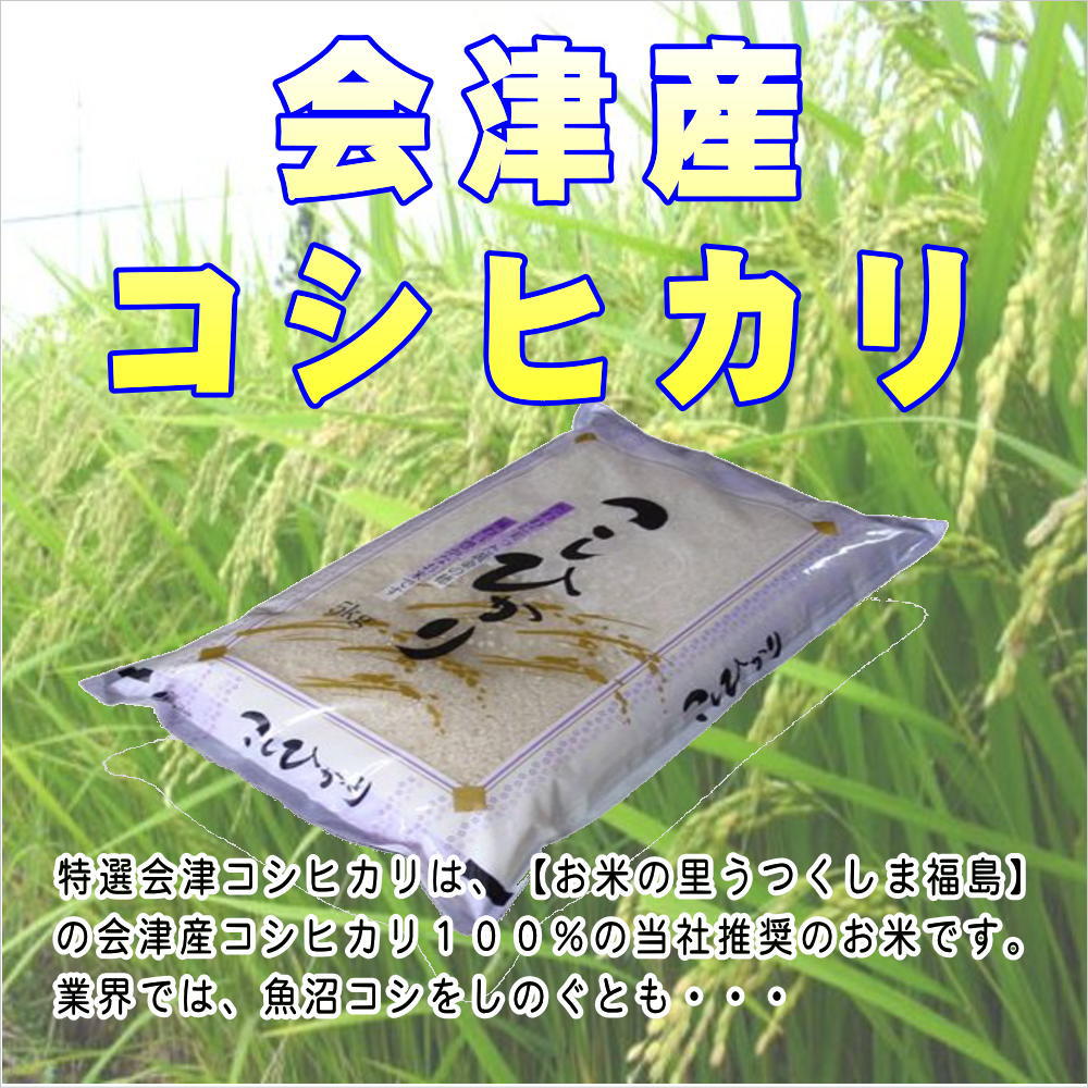 玄米】令和5年産福島県産・会津コシヒカリ10kg（5kg×2袋）石抜き処理済