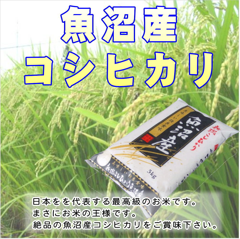 無洗米】米の美味さを全て兼ね備えた究極の食材【令和4年産】究極の米